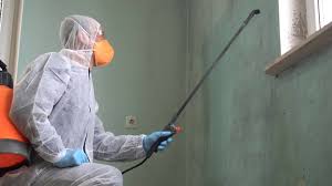 Best Industrial Mold Remediation  in Beaver, OK