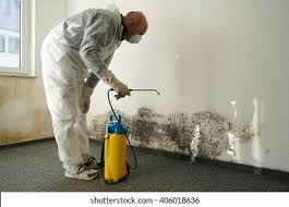 Best Comprehensive Air Testing for Mold Contaminants  in Beaver, OK